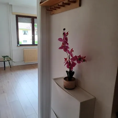 Rdc Calme Avec Parking Ferme Pres Autoroute Et Tram C Apartmán Mylhúzy