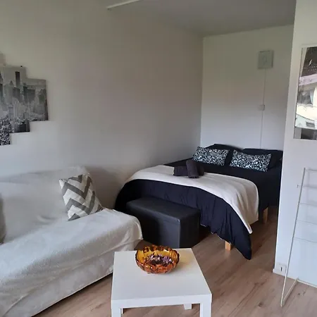 Appartement Lumineux 1 Pièce Avec Parking Fermé Et Arrêt De Tram à 100 M Mulhouse