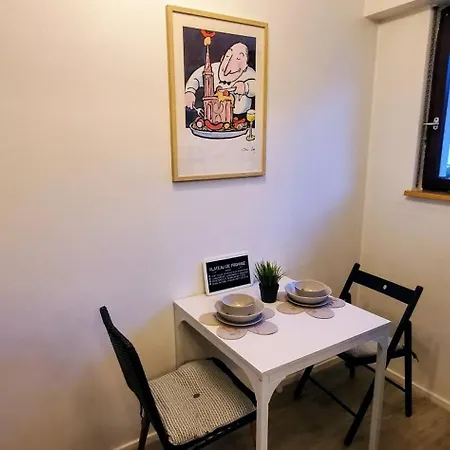 Lumineux 1 Pièce Avec Parking Fermé Et Arrêt De Tram à 100 M Appartement