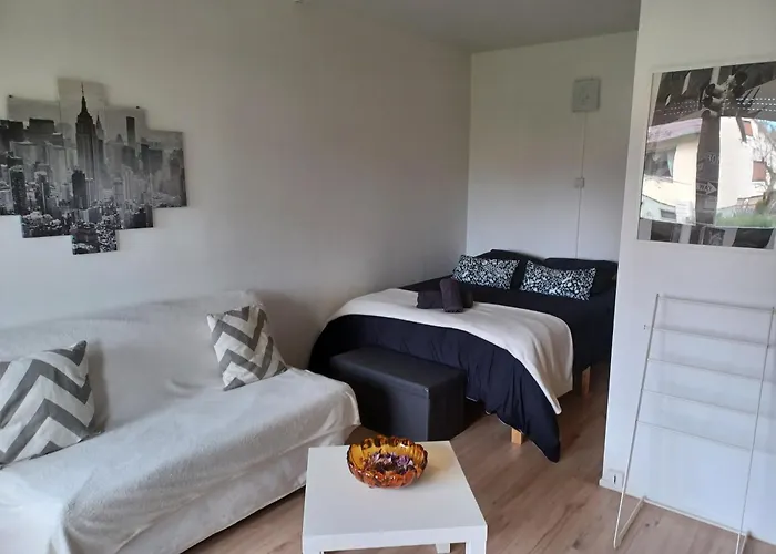 Appartement Lumineux 1 Pièce Avec Parking Fermé Et Arrêt De Tram à 100 M Mulhouse