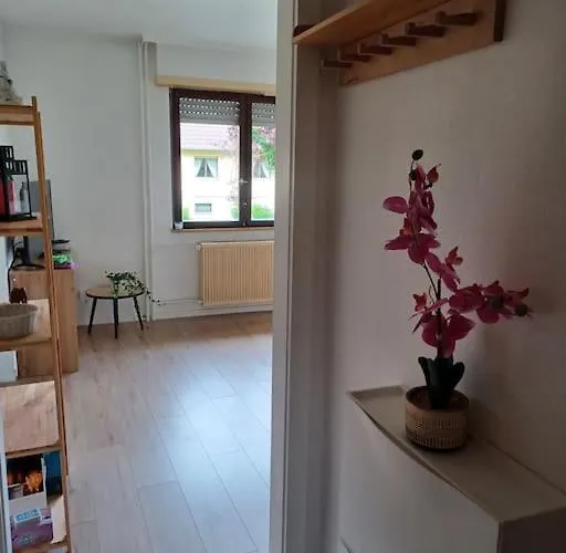 Lumineux 1 Pièce Avec Parking Fermé Et Arrêt De Tram à 100 M Appartement *