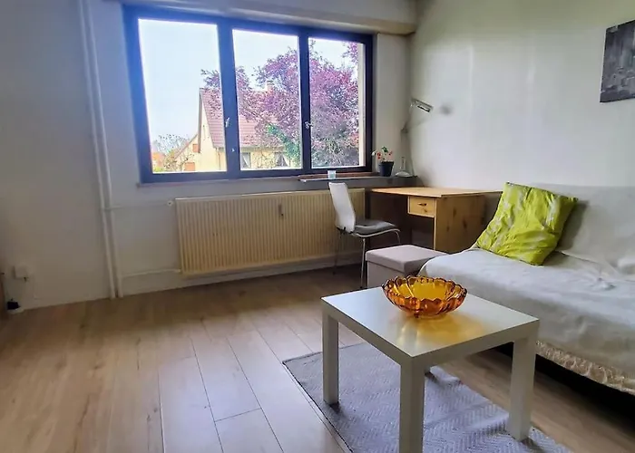 Lumineux 1 Pièce Avec Parking Fermé Et Arrêt De Tram à 100 M Appartement *