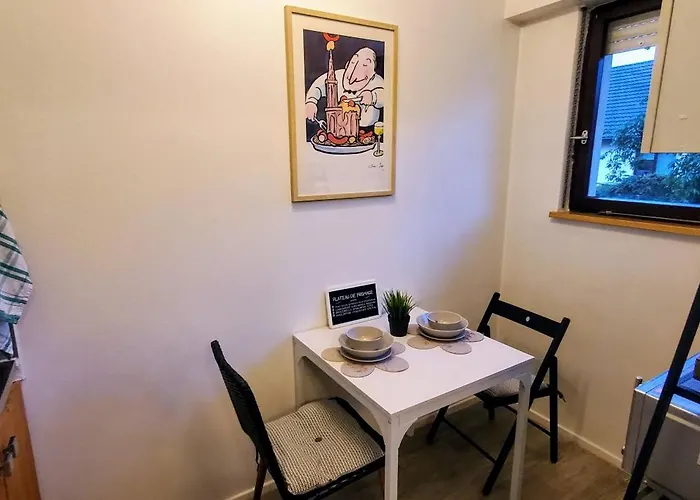 Lumineux 1 Pièce Avec Parking Fermé Et Arrêt De Tram à 100 M Appartement