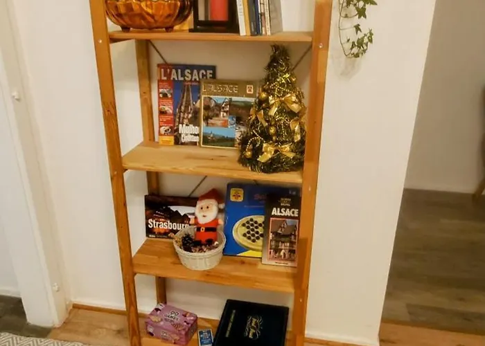 Lumineux 1 Pièce Avec Parking Fermé Et Arrêt De Tram à 100 M Appartement *