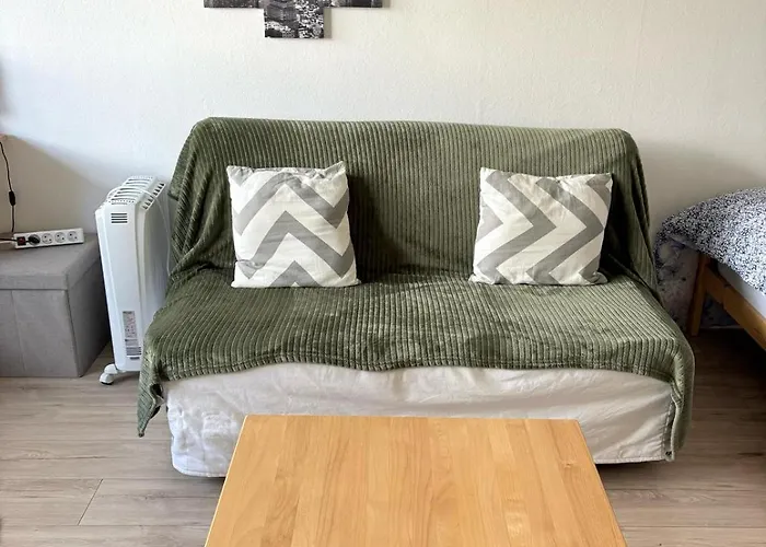 Lumineux 1 Pièce Avec Parking Fermé Et Arrêt De Tram à 100 M * Mulhouse