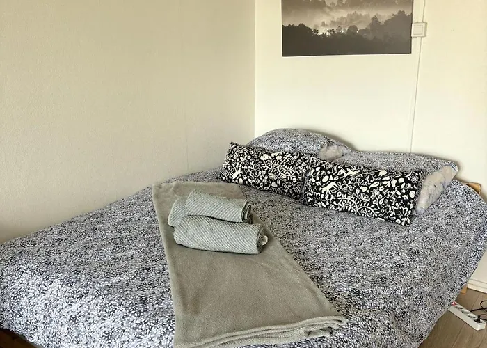 Lumineux 1 Pièce Avec Parking Fermé Et Arrêt De Tram à 100 M *