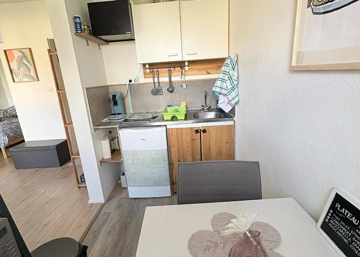 Lumineux 1 Pièce Avec Parking Fermé Et Arrêt De Tram à 100 M Appartement