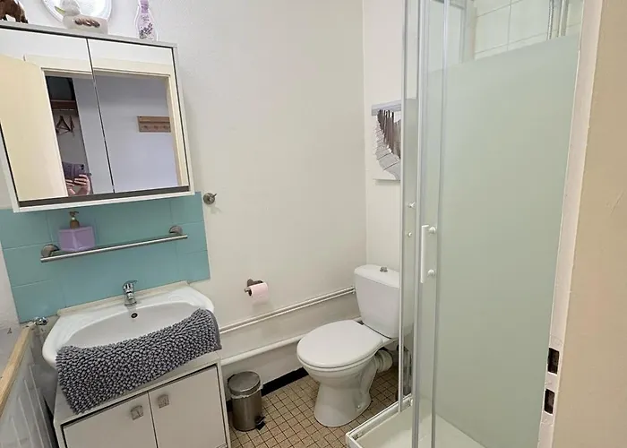 Lumineux 1 Pièce Avec Parking Fermé Et Arrêt De Tram à 100 M Appartement Mulhouse